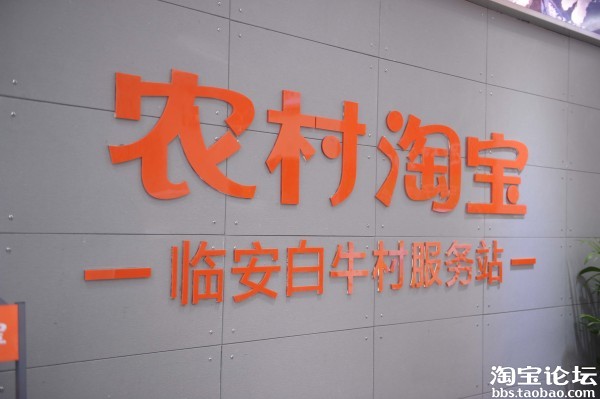 国务院副总理汪洋参观阿里巴巴、临安淘宝村